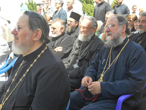 DESPOTICA MATI ANGELINA (8).jpg