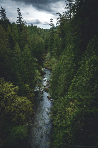 Commercial Photo (1219).jpg
