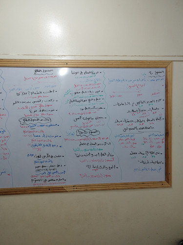 IMG 20230604 111352.jpg