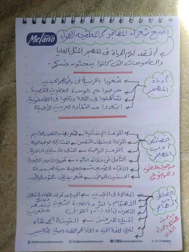 352093195 1016621482566614 2984217925457617104 n.jpg