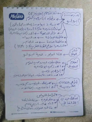 351477210 159720666955762 1797520051000519685 n.jpg