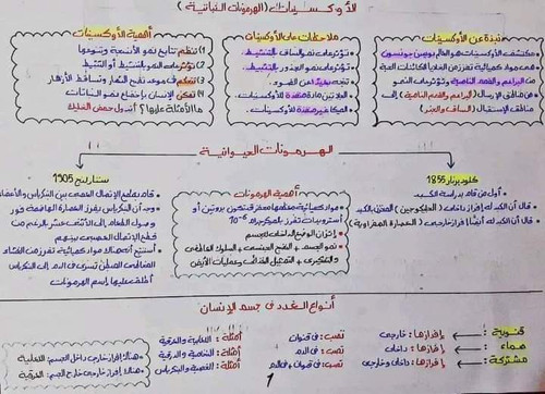 FB IMG 1682680246183.jpg