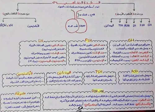 FB IMG 1682680249385.jpg