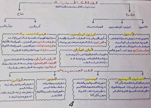 FB IMG 1682680252443.jpg