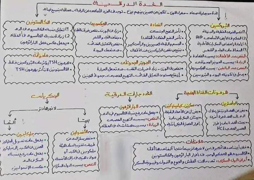 FB IMG 1682680255059.jpg