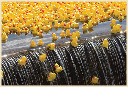 tumblr ntujk0u50v1u1skj6o1 540.jpg