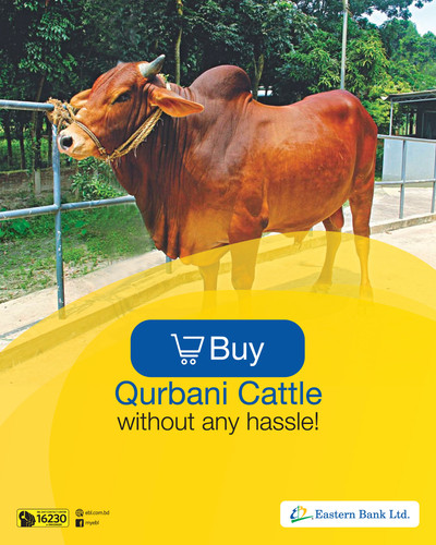 Qurbani Cattle Push Notifications.jpg