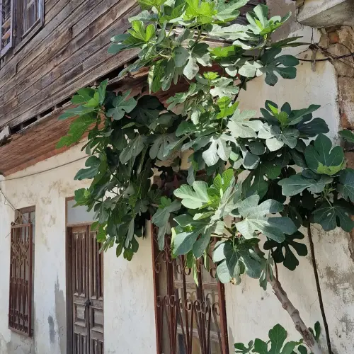 IMG 20230603 145433 547.webp