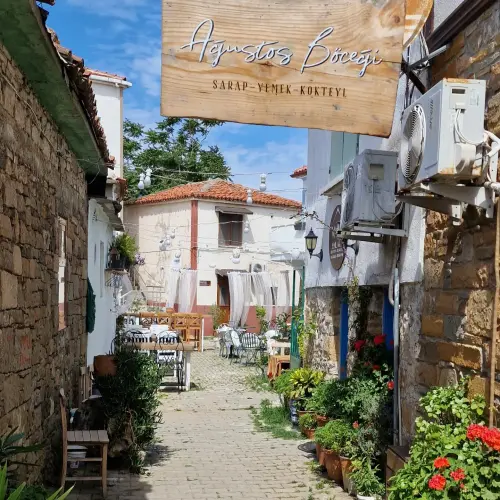 IMG 20230603 145433 494.webp