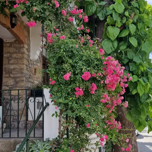 IMG 20230603 145433 622.webp