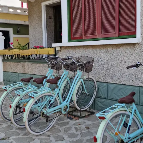 IMG 20230603 145433 647.webp