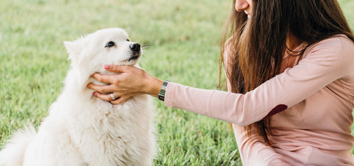 PATITAS EN ESPERA [Recuperado] 03.jpg