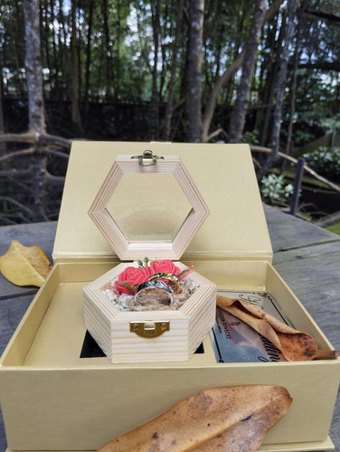 IMG 20230611 WA0014.jpg