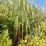 1c35876c f459 4a3b a415 d909e972da73