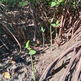 71cc29b2 e8f3 4b59 bc58 b68b2f455274