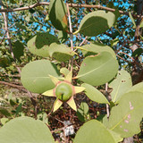 489cb809 1e50 45d7 aaf2 2837417afdaf