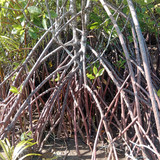 6a36b5a4 47f4 493b 94aa 18ceea7e0e3f