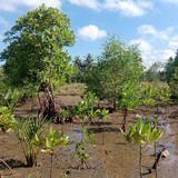 db3ed5db 7fc9 4d0d 89fb c7379794a121