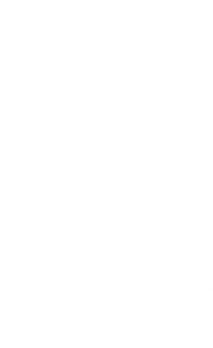 brush 1.png
