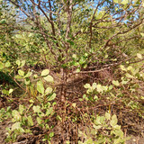 9611c875 d892 4479 a36f f7c1b33aef64