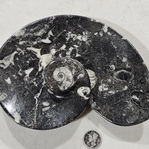 cropped 16860214207583178764133500861456.jpg