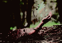 ezgif 5 c31a313346.png