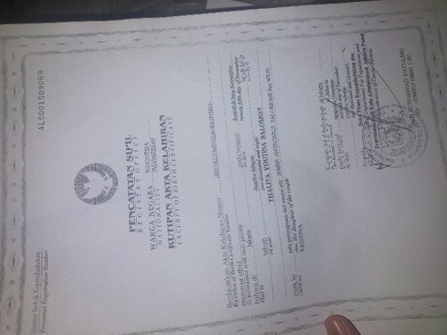 scaled 7d2d7821 5e83 40b3 9aff 9217622d5a39508227945699796328.jpg