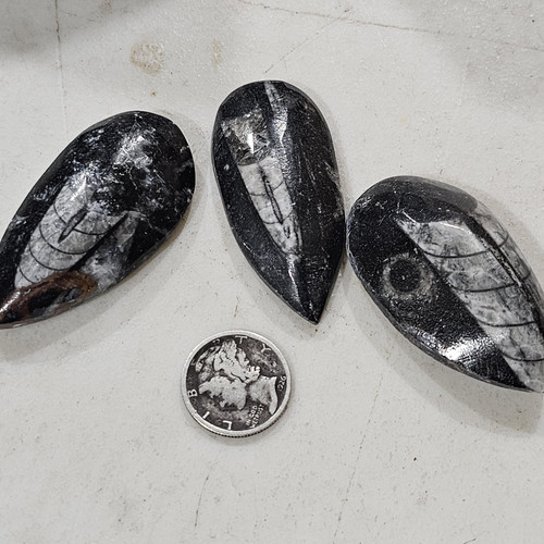 cropped 16860234882486928619411041000656.jpg