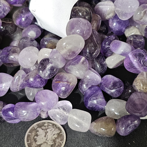 cropped 1686018647143638753177245418911.jpg