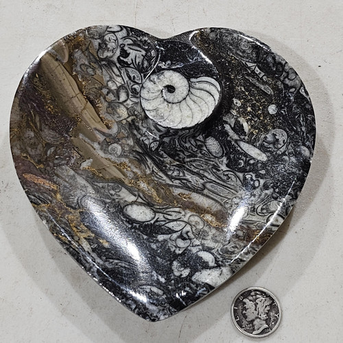 cropped 1686020841898435967311691139957.jpg