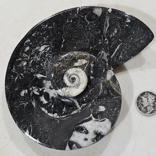 cropped 16860208956015949068174000241962.jpg