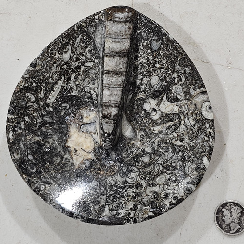 cropped 16860209575481292448536320901825.jpg