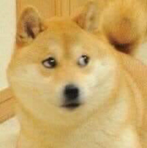 BombasticSideEye.jpg