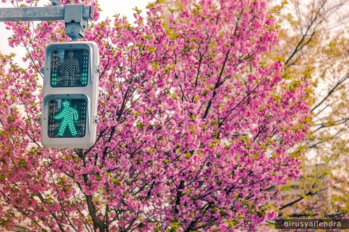 1 Rgil12rhdLz tYJKSh2XXg.jpg