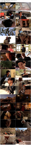 U.Turn.1997.BluRay.1080p.DTS HD.MA5.1.x265.10bit BeiTai preview.jpg