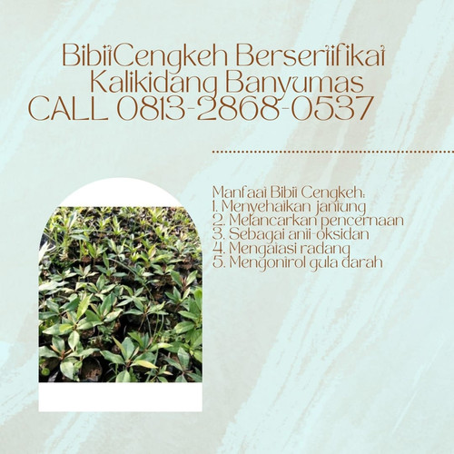 IMG 20230109 092403 246.jpg