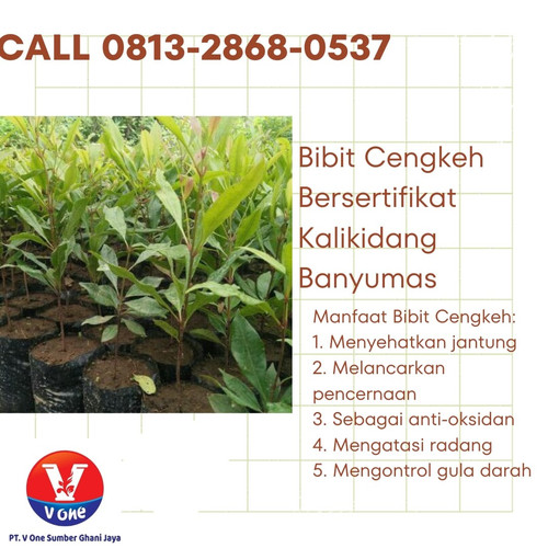 IMG 20230109 092513 323.jpg