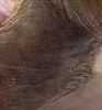 SAMSON1 15.png