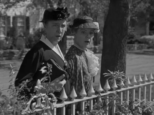 vlcsnap 2022 12 01 09h42m16s348.webp