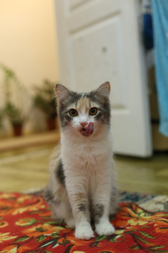 2019 03 04 22 30 59.jpg