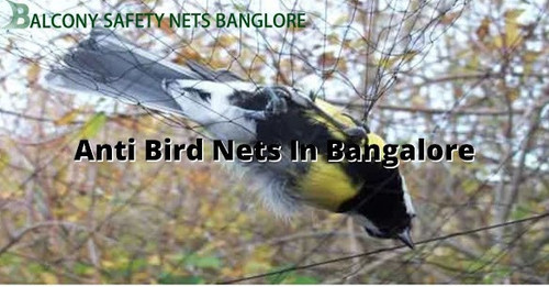 Anti Bird Nets in Bangalore.jpg