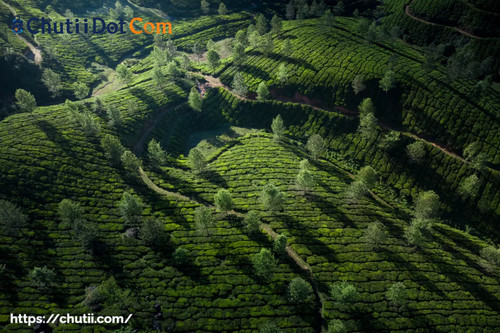 Chutii Dot Com: Top Rated North East Tour Provider in Kolkata, India.jpg