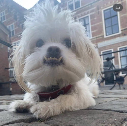 IMG 68BC45390065 1.jpg