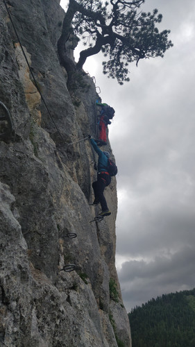 IMG 20210703 103129.jpg