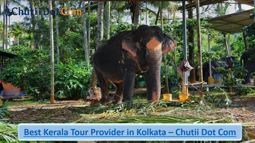Chutii Dot Com: Gods Own Kerala.jpg
