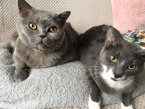 864ABE60 CA27 4D72 B0A5 DFD2247034FA.jpg