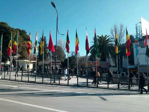 FB IMG 16732019844423409.jpg