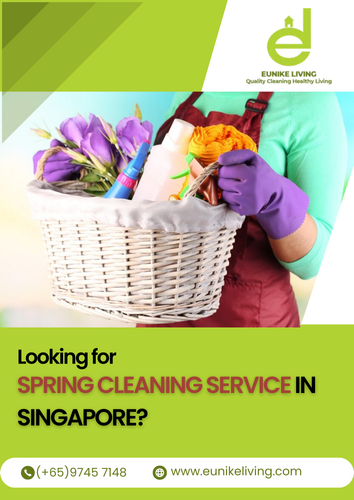 spring cleaning service in singapore.png