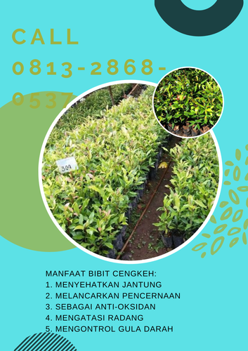 png 20230108 121228 0000.png