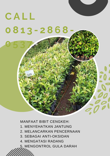 png 20230108 121132 0000.png